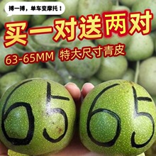 特大野生文玩核桃赌青皮带绿皮闷尖四座楼白狮子头麒麟纹官帽磨盘