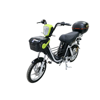 electric scooter and electric motorcycle, Elektrikli motosikletlər