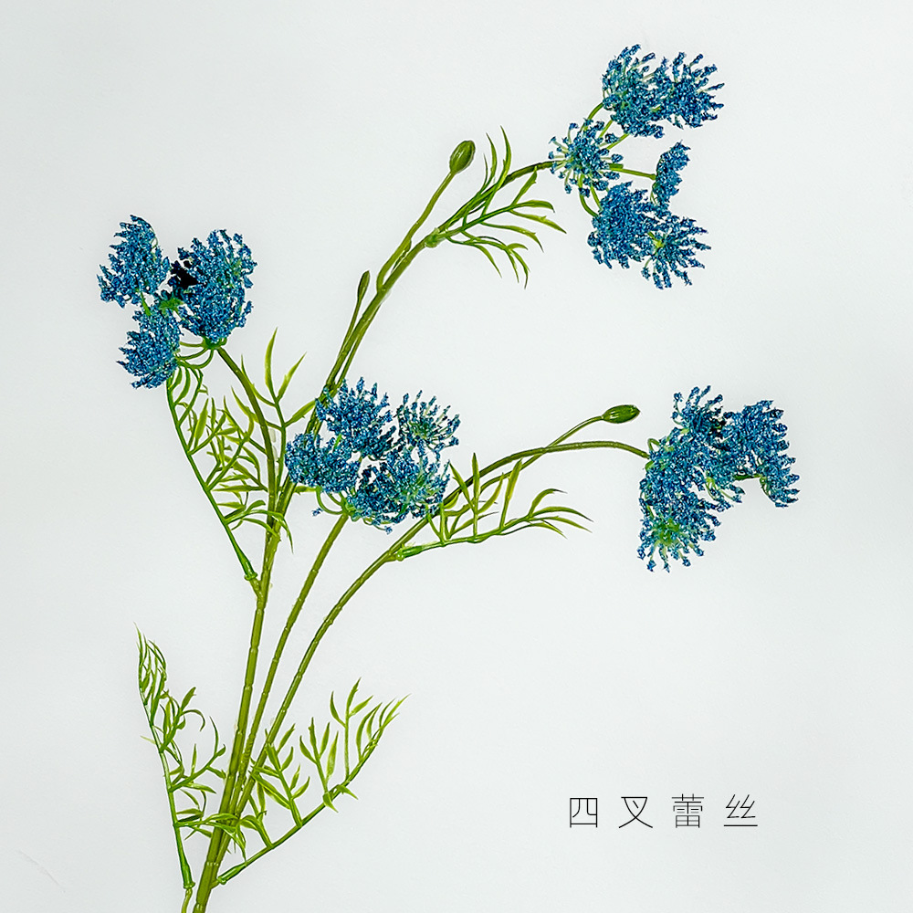 파란색 4갈래 레이스 꽃