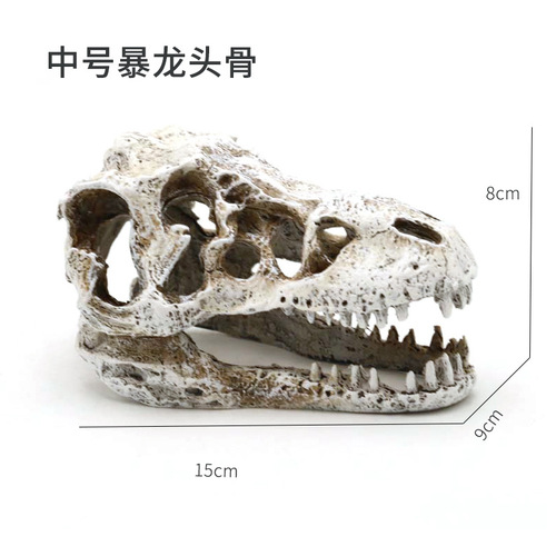 Aquarium fish tank ornaments, water plants and landscaping, dinosaurs, resin skull reptiles, bearded dragons and landscaping/decoration