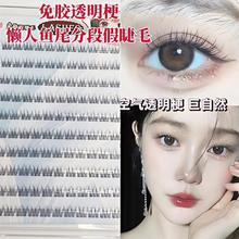 ���z����͸�������B��ɫ�~β�p��Ƥ�ٽ�ë�냺�����m��Ȼ���y�o��