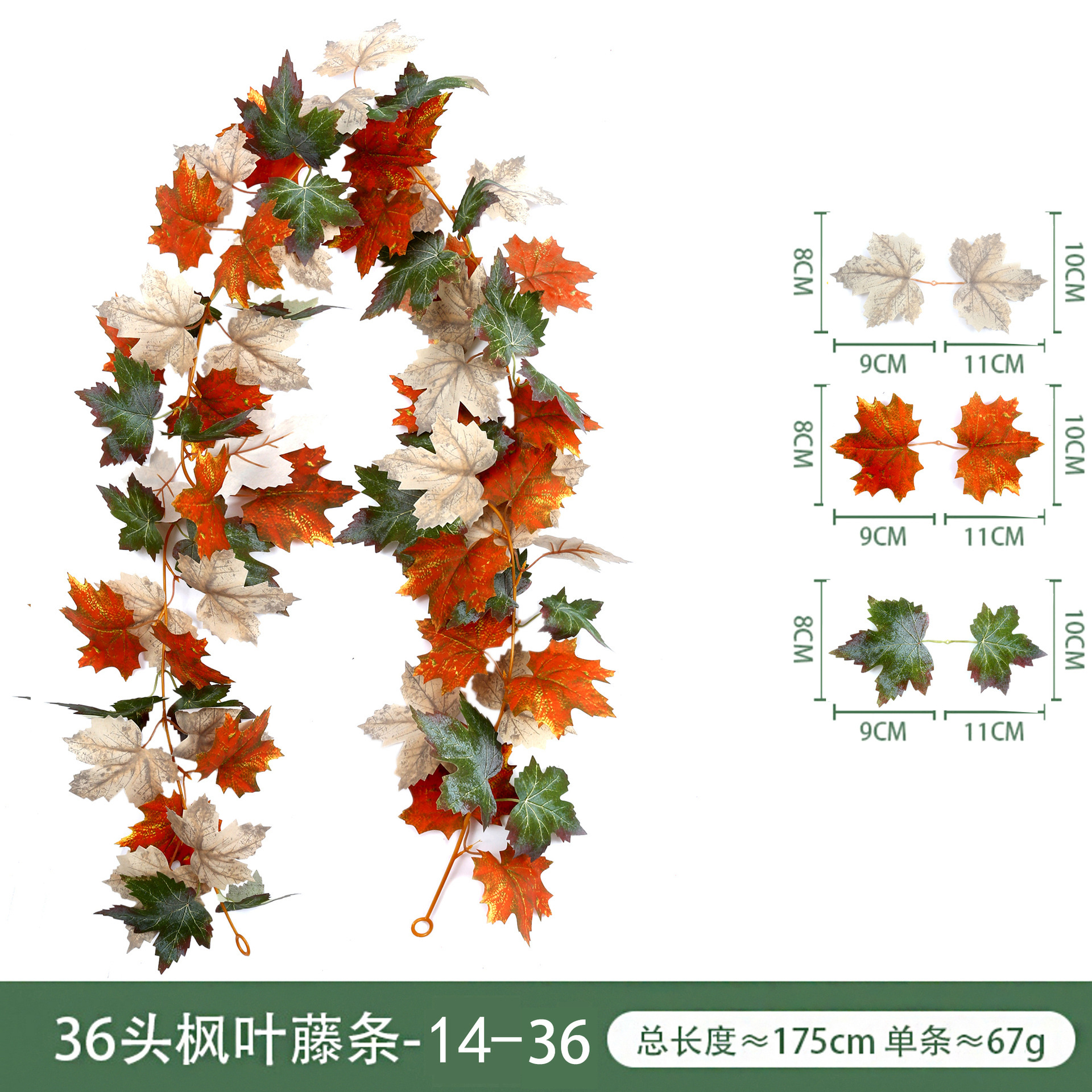 Maple leaf, 36