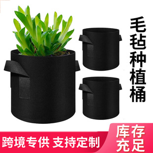 �羳ë�ַNֲͰ�F؛�ˈ@ֲ����o������ɫֲ�����L�������NֲͰ