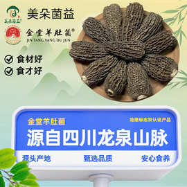 四川金堂地理标志干羊肚菌七妹无柄散货剪柄羊肚菌干货菌菇食用菌