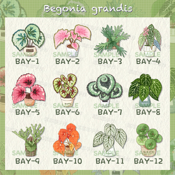 Begonia Green Plant Refrigerator Sticker Decorative Magnetic Sticker Hot Plant Pink Leaf Taro Creative Plant Decorative Magnetite Hand Ceremony