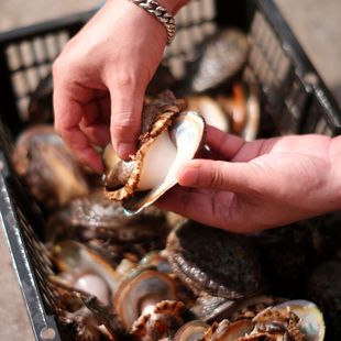 �S��ֱ��3_12 �U�~���l �����|ɽ����������U�~��Ƶ�ʳ�Ĺ���