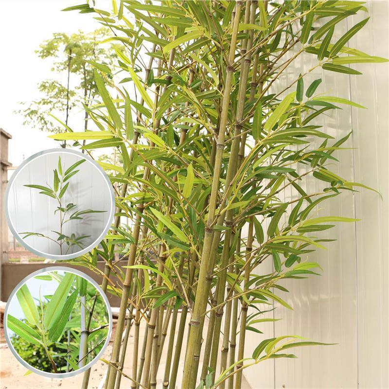 模擬細水竹、竹造園装飾、屋内玄関ホールの柔らかい装飾品、緑の植物パーティションスクリーン、暗号化された偽竹|undefined