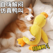 家用狗狗玩具解闷宠物小狗毛绒自嗨发声柯基大型犬磨牙耐咬用