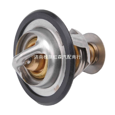 24507563 24207563 Thermostat