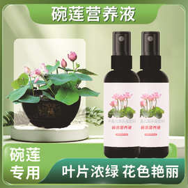 碗莲专用营养液荷花睡莲养花肥料水培观赏花卉绿色植物生根专用肥