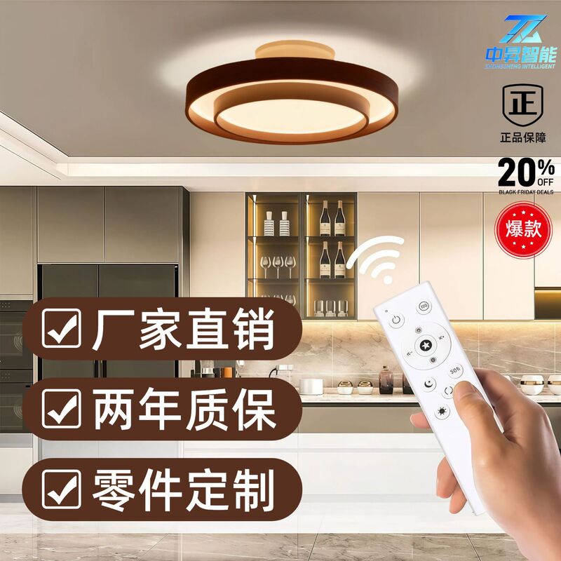 Modern Minimalist Double-Ring Flower Core Round Surface-Mounted Ceiling Pse Ceiling Light with Chandelier, Household Led