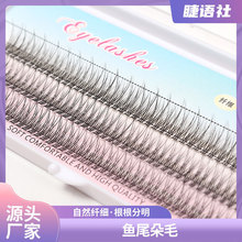 �޽���β��ë�ٽ�ë��Ȼ�ֶ�ʽ������β���طֶ�ʽ���۽�ë����