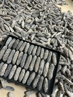 ���l�������Űͅ��������Ѕ������ㅢ�����̅� ���������؛