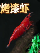 �����r�Ꭷ�^�p�r���w��ˮ����ښ��rˮ���r�ݸ׳����r�����r���]