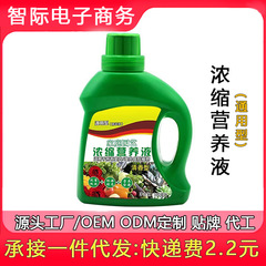 超濃縮植物栄養液花肥共通化肥料家庭用緑植鉢植え緑羅葉黄万能富貴竹