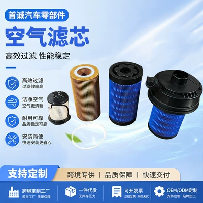 Lengwang filter element air filter Automobile filter element