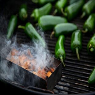 �F؛���P䓟�Ѭ�� ��ѬľмѬ�����ľƬBBQ�O��������ľɽ����ľ