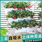 欧林泽种菜盆家用楼顶种菜专用盆立体多层阳台种菜盆特大号自吸水