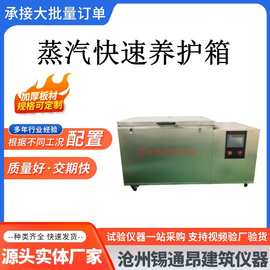 ZKY400蒸汽快速养护箱混凝土试块试件蒸汽不锈钢养护箱内外不锈钢