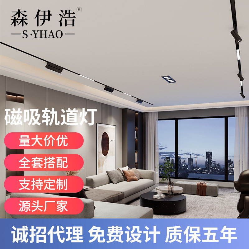 Magnetic Track Lighting Kit for Home Use in Living Room, Showroom, Bedroom, 48V Connected to Smart Embedded Lighting Without Main Light Magnetic Track Lighting Kit for Home Use in Living Room, Showroom, Bedroom, 48V Connected to Smart Embedded Lighting Without Main Light