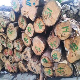 �S�����l��ľԭľ ����ľ �S�İ� ���ľ ��ľ�Ҿ��� �۲���