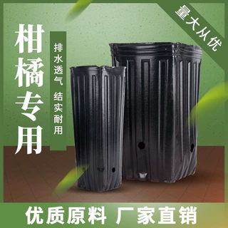 加高加厚塑料育苗杯脐橙柑橘苗种植育苗杯营养钵沃柑杯育苗营养袋