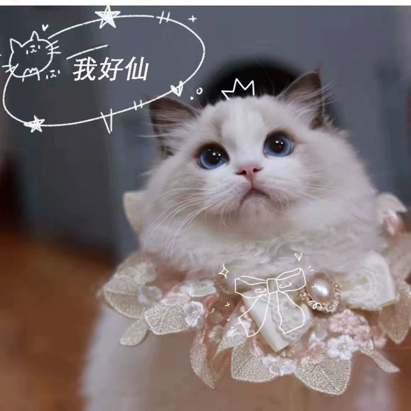 Шарф для кошек, украшение на воротник, шарф для собак, нагрудник для домашних животных, шарф для слюны, бант, ювелирное ожерелье на шею для кошек