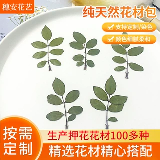 哇噢定制天然玫瑰叶干花包迷你干花香薰滴胶相框书签押花DIY材料