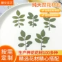 迷你天然定制押花书签