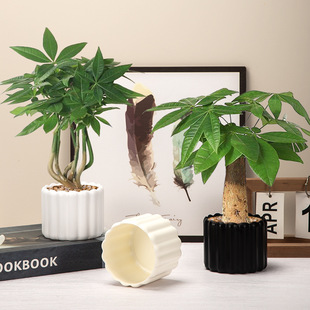 Factory wholesale plastic flowerpot cream wind solid color interior decoration ornaments multi-simulation multi-meat basin vertical strip shaped flowers