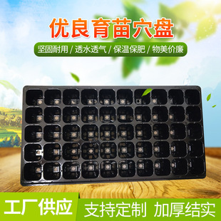�S�����lѨ�PPVC����P��ͥ����Nֲ�����߲˶���Nֲ����Ѩ�P