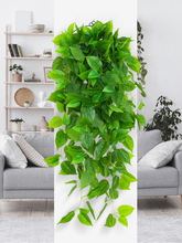 仿真植物假花藤条塑料藤蔓客厅绿萝壁挂吊篮室内吊兰绿植墙面装饰