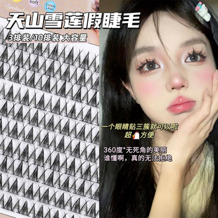 Little Devil Eyelashes Korean Girl Group V-Shaped Segmented Eyelashes Natural Big Eyes Curly Tianshan Snow Lotus False Eyelashes