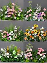 ��c����ɭϵ���Ż� �Gɫ���滨��Y�������üٻ�·������Ʒ��ˇ