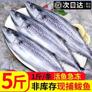 �r���E�~���r�R�o�~���l������r�����E�~���R�o�~���~�������l