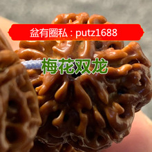 �����ִ��P�������ִ��д��������������������M��Y����Ȼ��