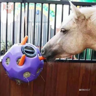 Horses Juggling Horse Room Snacks Toy Ball Equestrian Toys Horses Ball Horses Horses Hay Ball Fun