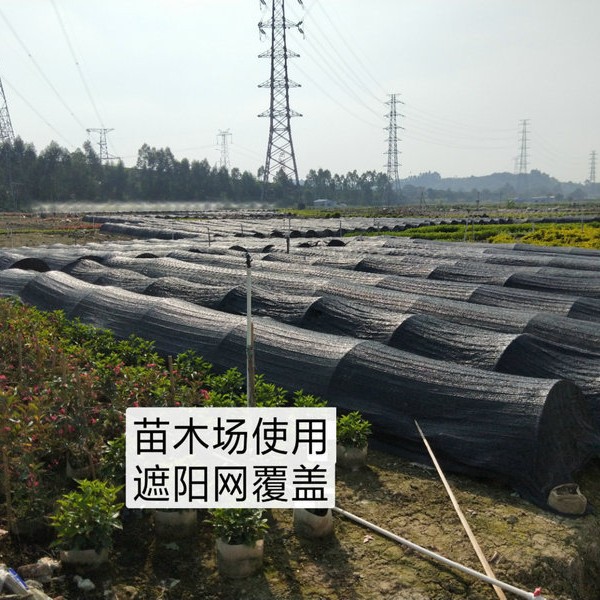 厂家批发遮阳网农业大棚专用遮光防晒遮阴网平针土机交织网黑色