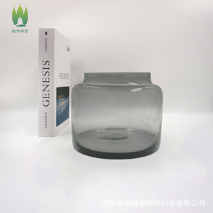 ����ɫ�p�ݲ廨��ƿ̦�\΢���^����ƿ�������Bƿ����DIY��ƿ