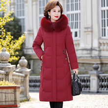 ��Ʒ���Z�q��q��Ů���L��2025�¿�������5��a�L���^ϥ�����b��