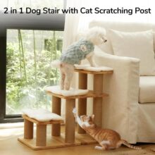 �羳��ľ������ݼ���؈�乷������ɳ�l�ϴ�̨�Aľ�|����؈����