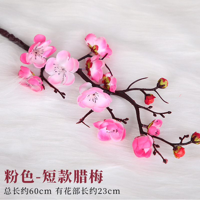 짧은 핑크 윈터스윗