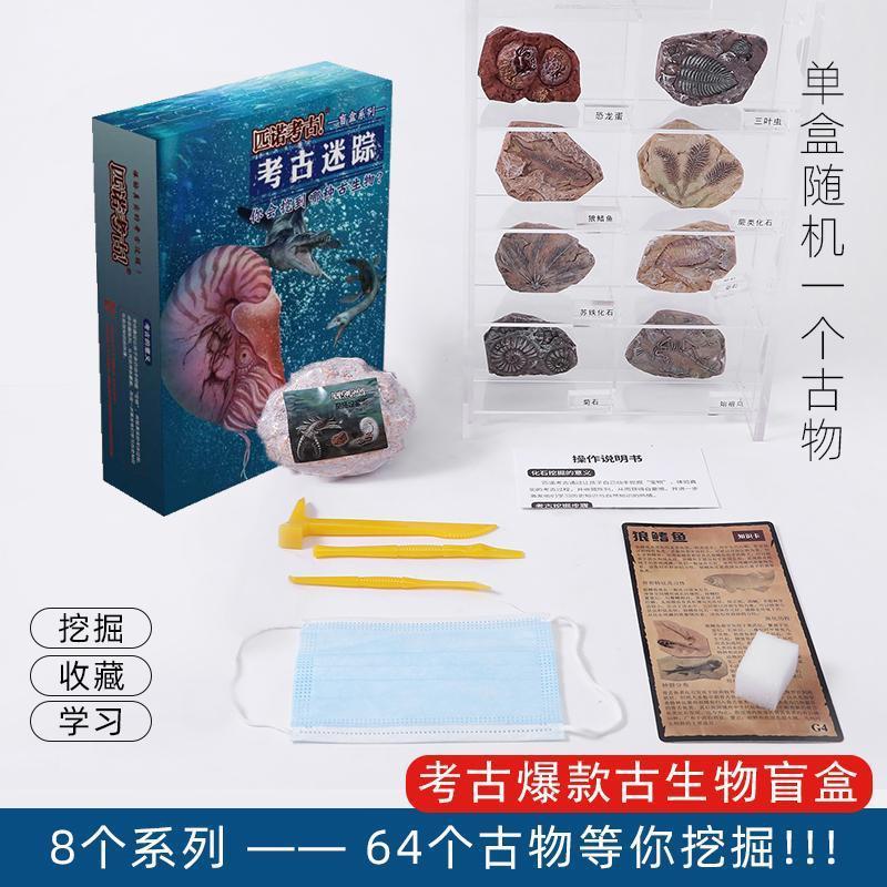 [선호 부티크] 고생물학 블라인드 박스 (32 개의 전체 상자를 촬영하는 것이 더 비용 효율적입니다)