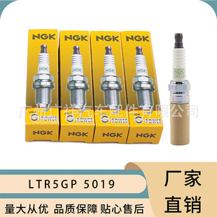 �S�ҹ���LTR5GP 5019�K�����NGK�m���~�J���e�˾�����ԽGL8
