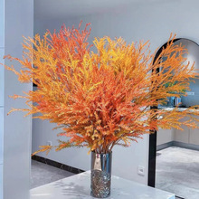 ��ϻ���ֱ�lǧ�ӽ��S�������k���ҿ͏d�廨�r��ˮ��ɻ����]