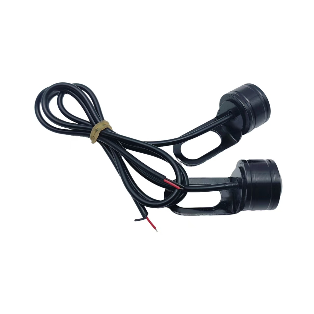 微信图片_20250118234901