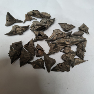 �F��� ���l������l1000��֧�ֻ���