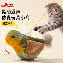 è���ճ�̹���ʽ��è�н��������ë����С������������è���