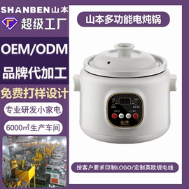 电煮锅;电火锅;养生壶