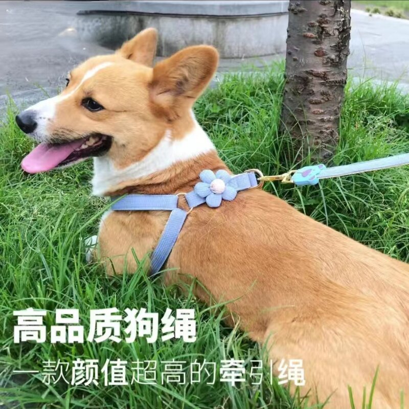 大泽设计_20230517194803_1_proc